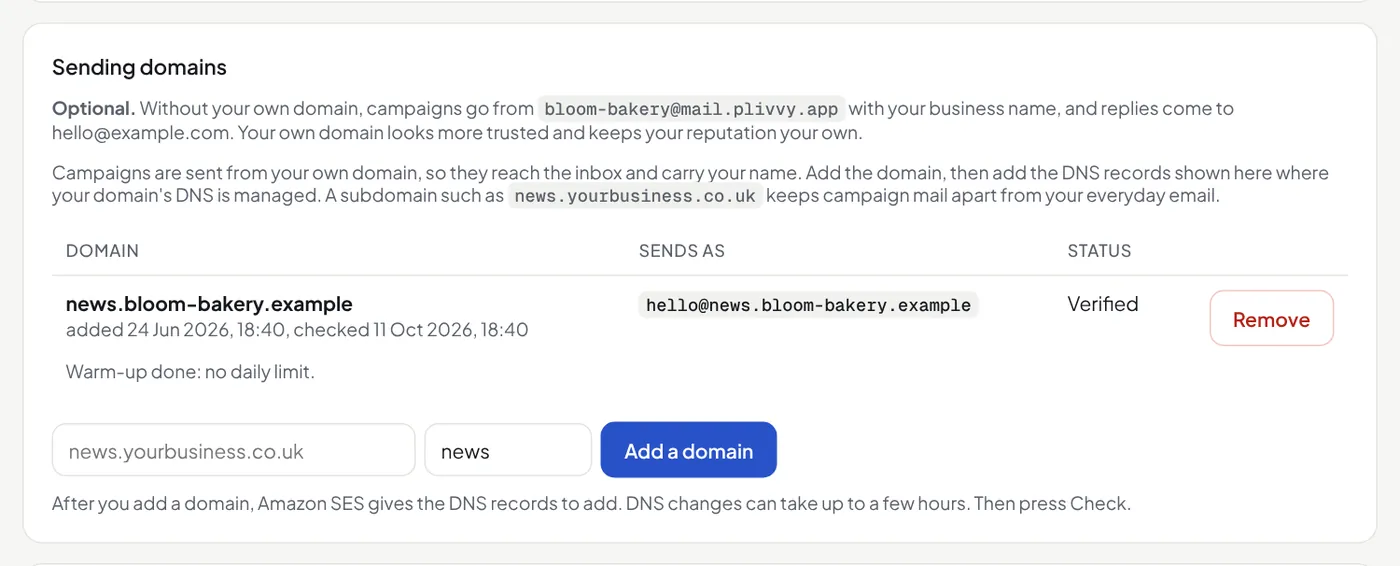 Settings, Sending domains: a verified domain and the box to add one